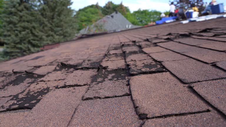 Best Roof Ventilation Installation  in Kewanee, IL