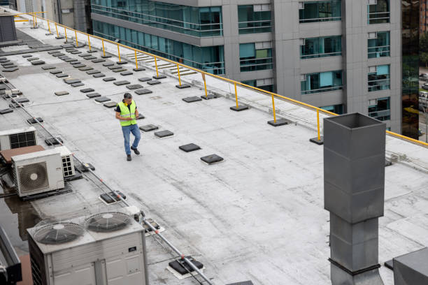 Best Roof Maintenance and Cleaning  in Kewanee, IL