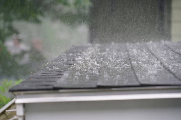 Best Roof Coating and Sealing  in Kewanee, IL