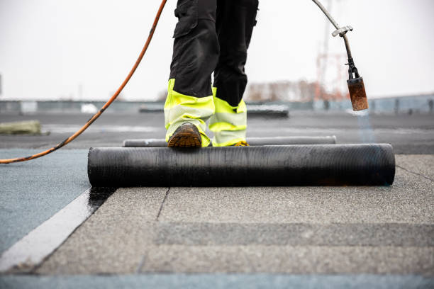 Best Asphalt Shingle Roofing  in Kewanee, IL