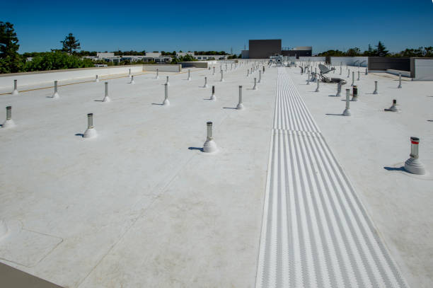 Best Asphalt Shingle Roofing  in Kewanee, IL